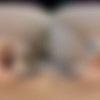 [VRAllure.com] Angelina Moon - Net Down Cock Up [07.01.2025, Asian, Brunette, Close Ups, Fingering, Garter Belt, Long Hair, Magic Wand, Masturbation, no Male, Petite, Pov Kissing, Shaved Pussy, Slim, Small Tits, Solo Models, Tommy Torso, Virtual Reality, SideBySide, 8K, 4096p, SiteRip] [Oculus Rift / Quest 2 / Vive] thumb