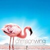 The Crimson Wing: Mystery of the Flamingos [2008] / H264 / MKV / Blu-ray / 1080p / DTS / Subs / WMD thumb