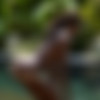 [Hegre-Art.com] 2015-01-15 Simone - Ebony & Pink [64  / Hi-Res] thumb