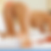 [Stunning18.com / MetArt.com] 2013-11-14 Belinda [Posing, Erotic, 1080p] thumb