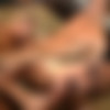 [CorbinFisher.com] OLIVIA (ACS0416 CONNOR FUCKS OLIVIA ) [2011 ., Oral/Vaginal Sex, Bareback, Cunnilingus, Rimming, Cumshots, Muscle, SiteRip] thumb