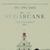 Sugarcane 2024 REPACK 1080p DSNP WEB-DL DDP5 1 H 264-FLUX thumb
