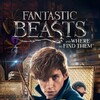 Fantastic Beasts and Where to Find Them [2016] / H264 / MKV / Blu-ray / 1080p / AC3 / Subs / DON thumb