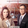 Darrow & Darrow 2017 1080p WEBRip DDP 2 0 H 265 -iVy thumb