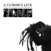 A Curious Life [2014] / H264 / MKV / DVD / SD / AC3 / HANDJOB thumb