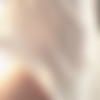 [AssholeFever.com / 21Sextury.com] Franceska Dicaprio (Fucking Franceska / 21.01.17.) [2016 ., Gonzo, Anal, 1080p] thumb