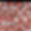 PJGirls.com Jan-Dec 2020 thumb