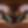 [VRCosplayX.com] Savvy Suxx - Dune Part 2 A XXX Parody [05.12.2024, Babe, Blonde, Blowjob, Cowgirl, Creampie, Doggy Style,Missionary, Movie, Reverse Cowgirl, Small Tits, Virtual Reality, SideBySide, 8K, 4096p] [Oculus Rift / Quest 2 / Vive] thumb