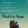Native Son 2019 MULTi DV HDR 2160p WEB x265-UKDHD thumb