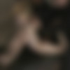 [Hogtied.com / Kink.com] Isis Love & Emma Haize (March's Live Show 2/3 / 09.05.2011) [2011 ., BDSM, Bondage, Hardcore, HDRip, 720p] thumb