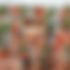 WowGirls.com Siterip - Part 4/5 thumb