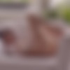 [WowGirls.com] Kamy (aka Leona Mia) - Ideal Beauty [2023-09-17, Lingerie, Shaved Pussy, Softcore, Solo, 60FPS, 720p, SiteRip] thumb