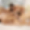 [GirlsGoneWild.com] Holly Michaels, Dillon Harper, Lilly Banks, Lizz Tayler, Amanda Tate (Ali Reynolds, Brandi Lynn Moore, Bree Patterson, Kate Smith, and Lexie Lee) [2014 ., Lesbo, Toys] thumbnail