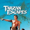 Tarzan Escapes [1936] / H264 / MKV / DVD / SD / AC3 / HANDJOB thumb