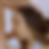 Harmony Wonder - Tushy 12.07.19 HEVC 1080p thumb