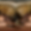 [BaDoinkVR.com] Sky Wonderland - Hornted House Hookup [29.10.2024, Babe, Blowjob, Brunette, Cowgirl, Doggy Style, Facial, Hairy, Missionary, Natural, Reverse Cowgirl, Stockings, Tattoos, Teen, Virtual Reality, SideBySide, 8K, 4096p, SiteRip] [Oculus Rift / Quest 2 / Vive] thumb