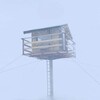 Nest [2022] / H264 / MKV / Blu-ray / 720p / AC3 / Icelandic / Subs thumb