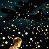 Grave of the Fireflies (1988) (1080p BDRip x265 10bit AC3 2.0 DUAL - Goki)[TAoE] thumb