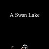 A Swan Lake [2014] / H264 / MKV / WEB / 1080p / AAC thumb