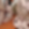 [chaturbate.com] College gangbang 2020-03-18 [2020 ., FFMM,Blowjob,Footjob,Handjob,Lesbians,Titjob, 1080p, WEB-DL] thumb