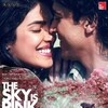 The Sky is Pink 2019 1080p AMZN WEB-DL DDP5 1 H 264-SARVO thumb