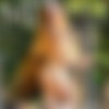 [MetartNetwork.com] 2024-07 [Erotic, Solo, Posing][256  / 28639  / High-Res] thumb