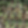 [21EroticAnal.com / 21Naturals.com] Tina Kay (Anal Picnic / 24.06.17.) [2017 ., Gonzo, Anal, 540p] thumb