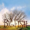 Big Fish [2003] / H264 / MKV / Blu-ray / 720p / AC3 / Subs thumb