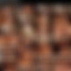 Dani Daniels Mega Pack [278 Videos] thumb