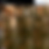 [PregnantCoeds.com] Pregnant Coeds (80 ) /   [2004-2012 ., Pregnant, Lactation, Teen, Solo, SiteRip] thumb