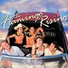 The Flamingo Rising [2001] / H264 / MKV / WEB / 1080p / AC3 / Subs / EDGE2020 thumb