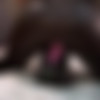 [SkintightHotties.com] /    (203-) [ Spandex,Leggings,Jeans,PVC,Rubber,Leather,Fetish,SiteRip ] thumb