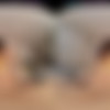 [VRAllure.com] Angelina Moon - Net Down Cock Up [07.01.2025, Asian, Brunette, Close Ups, Fingering, Garter Belt, Long Hair, Magic Wand, Masturbation, no Male, Petite, Pov Kissing, Shaved Pussy, Slim, Small Tits, Solo Models, Tommy Torso, Virtual Reality, SideBySide, 8K, 4096p, SiteRip] [Oculus Rift / Quest 2 / Vive] thumb
