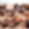 [Errotica-Archives.com] 2013-09-08 Giulia - Lavendo [Erotic, Glamour] [1080p] thumb