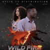 Wild Fire 2018 720p WEB H264-RABiDS thumb