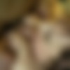 [CruelMoney.com]    [2006 ., mature, CamRip] thumb