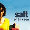 Salt of This Sea [2008] / H264 / MKV / WEB / 1080p / AC3 / Arabic / Subs thumb