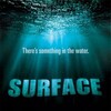 Surface S01 720p WEB-DL DD5 1 H 264-Coo7Hype thumb