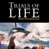 The Trials of Life (1990) Season 1 S01 + Extras (1080p BluRay x265 HEVC 10bit AAC 2 0 afm72) QxR thumb