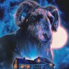 Kill Her Goats [2023] / H265 / MKV / Blu-ray / 2160p / AC3 / Subs thumb