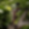 [Hegre-Art.com] 2016-12-13 Kiky - Shooting Caribbean Curves [2016 ., Erotic, Posing, 1080p] thumb