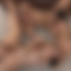 Group Texting Group Sexing /     (Penthouse) [2016 ., Blowjob, Cumshot, Cunnilingus, Facial, Orgy, VOD, 720p] (Split Scenes) (Adriana Chechik, AJ Applegate, Ashlyn Molloy, Chanel Preston, Karla Kush, Lea Lexis, Lexi Belle, Marica Hase, Penny Pax, Sarah Shevon) thumb