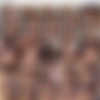 Schoolgirl POV / .     (Greg Lansky / New Sensations) [2007 ., POV, Legal Teens, All Sex, DVDRip] (Christine Alexis, Carmen McCarthy, Marissa Mendoza, Melanie Scott, Sophia Lynn, Mark Ashley, Jordan Ash, James Deen, Anthony Rosano) thumb