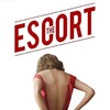 The Escort [2015] / H264 / MKV / Blu-ray / 720p / AC3 / Subs / OmertaHD thumb