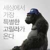 Mr Go 2013 1080p BluRay REMUX AVC DTS-HD MA 5 1-TRiToN thumb