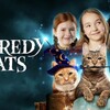 Scaredy Cats S01 1080p NF WEB-DL DDP5 1 x264-playWEB thumb