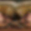 [BaDoinkVR.com] Sky Wonderland - Hornted House Hookup [29.10.2024, Babe, Blowjob, Brunette, Cowgirl, Doggy Style, Facial, Hairy, Missionary, Natural, Reverse Cowgirl, Stockings, Tattoos, Teen, Virtual Reality, SideBySide, 8K, 4096p, SiteRip] [Oculus Rift / Quest 2 / Vive] thumb