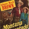 Montana Desperado [1951] / H264 / MKV / DVD / SD / AC3 / murmaider thumb