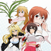 Sekirei Complete BDrip 1080p Dual-Audio x265 thumb