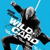 Wild Card 2015 HDRip XviD AC3-EVO thumb